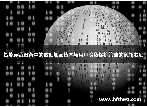 智能穿戴设备中的数据加密技术与用户隐私保护策略的创新发展